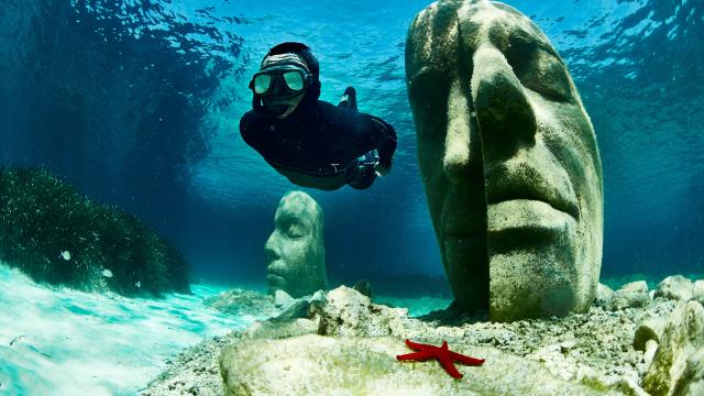 Snorkeling écomusée