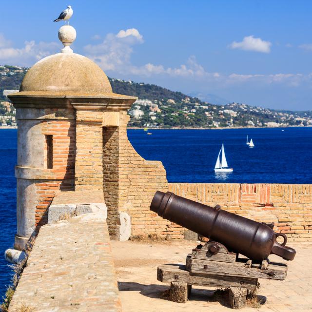 Vue Fort Ile Sainte Marguerite