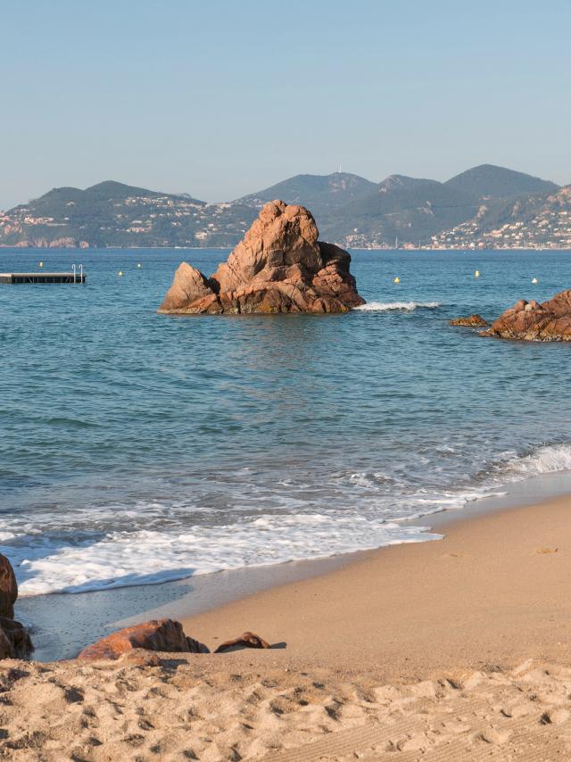plages-cannes-herve-fabre.jpg