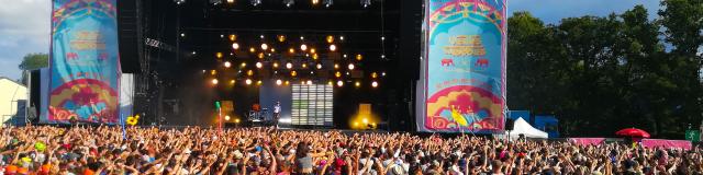 Public en liesse à un concert au Festival des Vieilles Charrues.