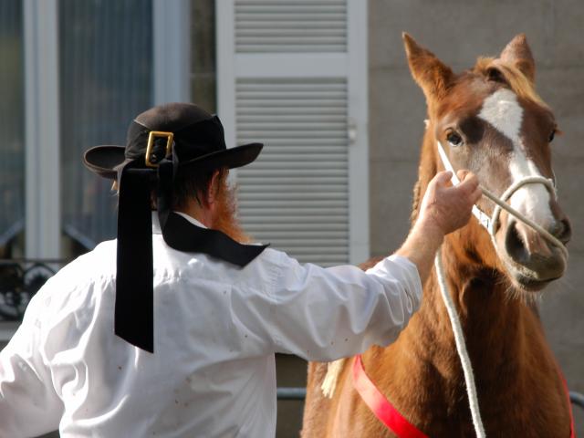 La Foire Aux Chevaux