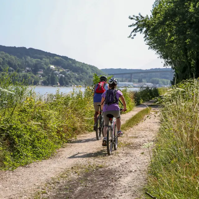 Vallee De La Seine Pays De Caux Juillet 2018 Sport Vtt Couple Famille Balade Sentier Veloroute Voie Verte Sma76 H Salah