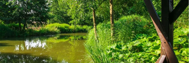 Port Jeroe Sur Seine 2016 Parc Du Telhuet Etangs Csnt
