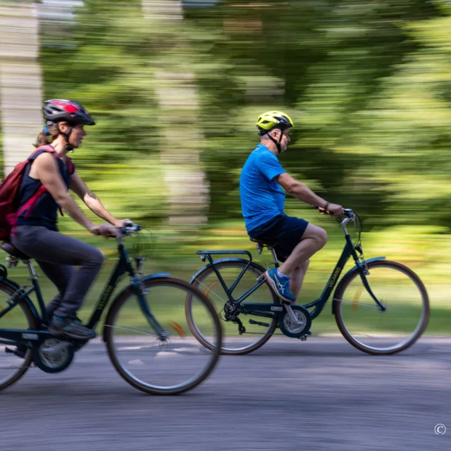 La Mailleraye Sur Seine Juillet 2022 Arelaune En Seine Cyclotourisme Slow Tourism Mobilite Douce Visite A Velo Eric Sanson