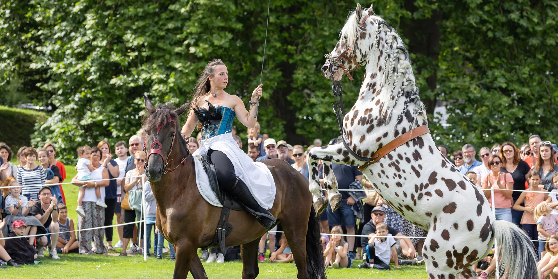 Abtei Du Valasse 2023 Fete Du Cheval Eric Sanson