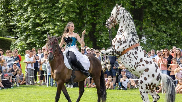 Abbaye Du Valasse 2023 Fete Du Cheval Eric Sanson