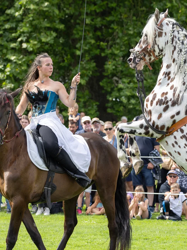 Abbaye Du Valasse 2023 Fete Du Cheval Eric Sanson