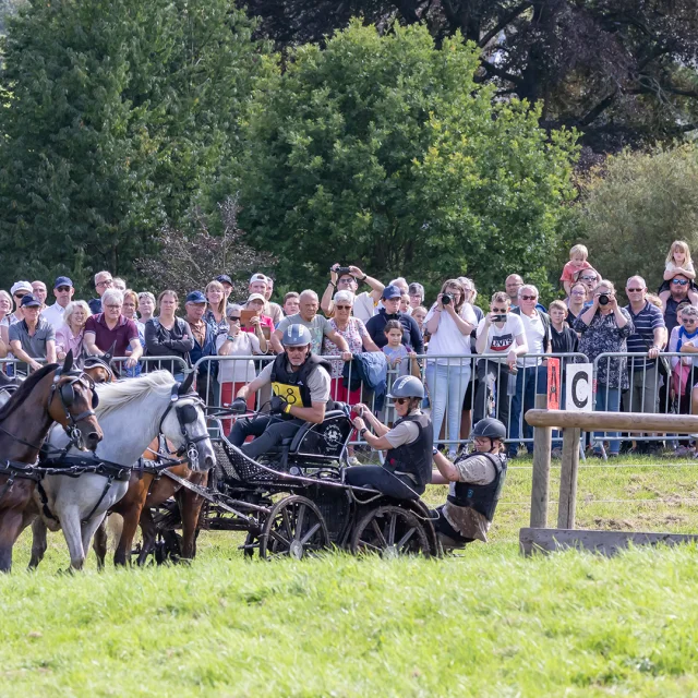 Gruchet Le Valasse 2023 Fete Du Cheval Public Eric Sanson