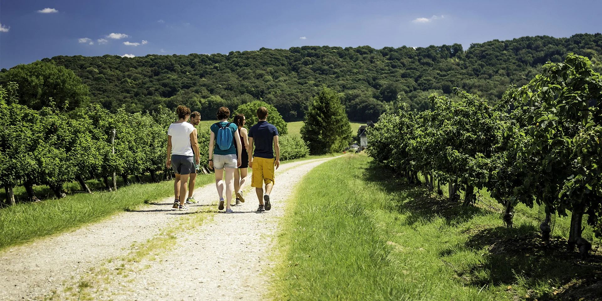 Vallee De Seine 2016 Promeneurs Seine Maritime Tourisme V.rustuel
