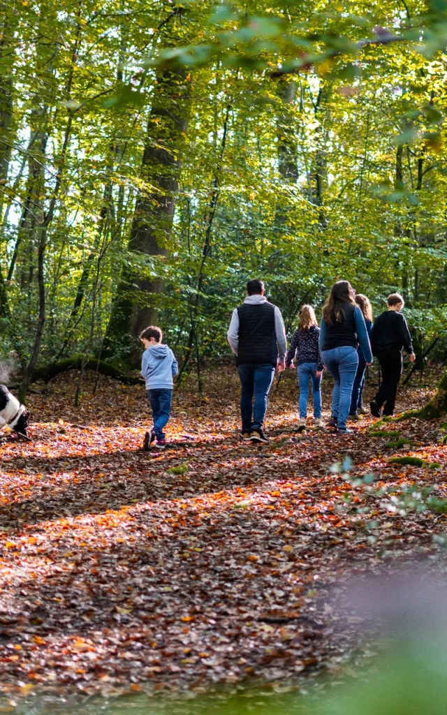 Foret De Brotonne Automne 2024 Famille Promenade La Mailleraye Sur Seine Arelaune En Seine Agence Bonne Heure