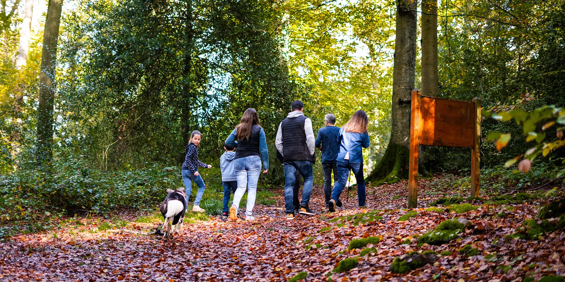 2024 Automne Balade En Foret De Brotonne 2 Agence Bonne Heure