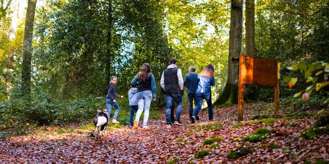 2024 Automne Balade En Foret De Brotonne 2 Agence Bonne Heure