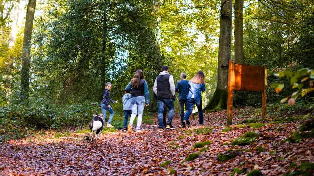 2024 Automne Balade En Foret De Brotonne 2 Agence Bonne Heure