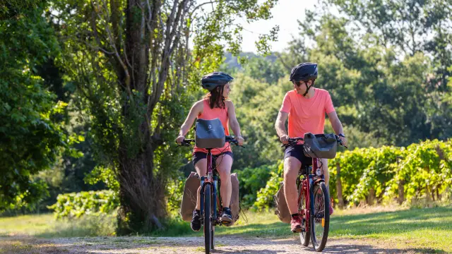 Circuits Vtt