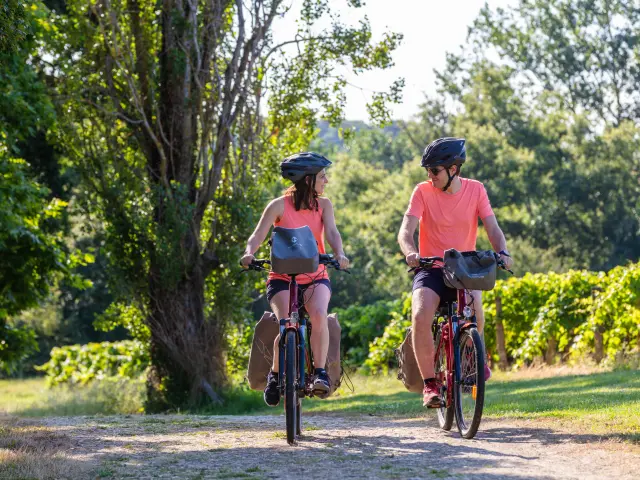Circuits Vtt