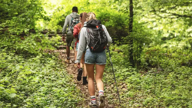 Group of friends hiking in nature.They walking trough forest and meadows.