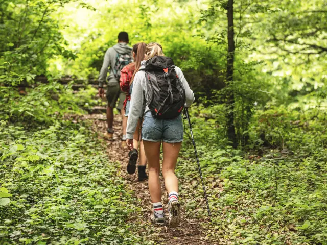 Group of friends hiking in nature.They walking trough forest and meadows.