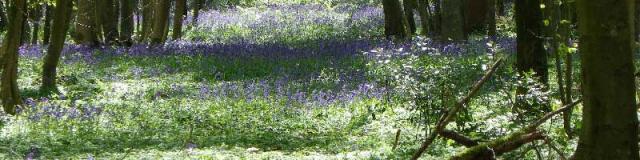 Destination Le Treport Mers Foret Eu Boucle De Beaumont