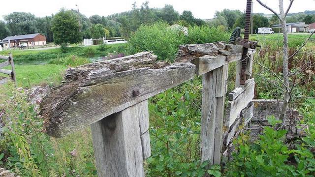 Longroy Jardin 15