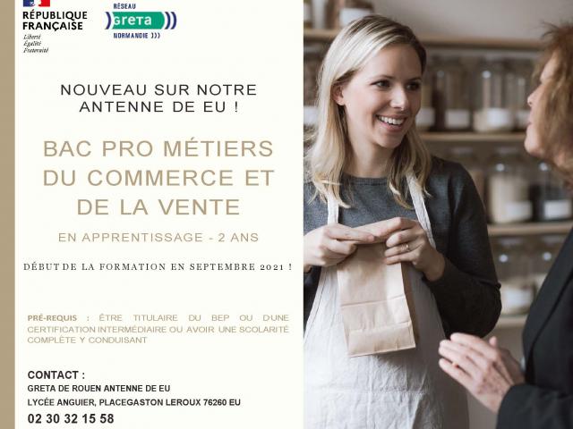 Bac Pro Metiers Du Commerce Et De La Vente (v1)