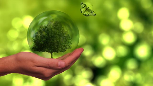 Journee de l'environnement