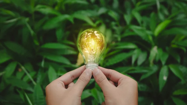 Environnement et transition écologique