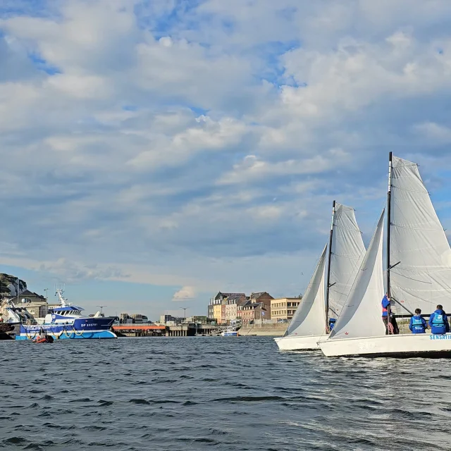 100 Navigateurs 2024