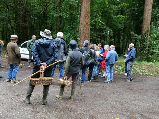 Randonnees Circuits Balades Promenades Communaute De Communes Des Villes Soeurs