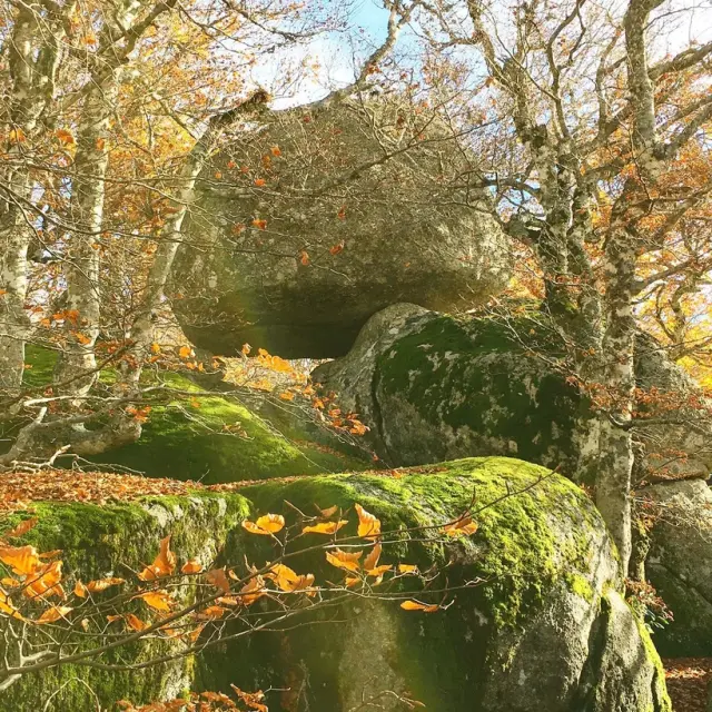 Instagram #cevennes
