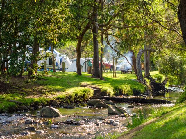 Camping