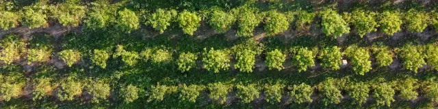 Vézénobres Drone 20