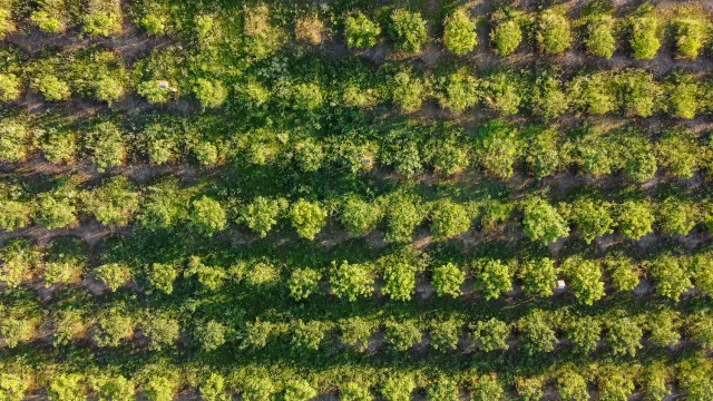 Vézénobres Drone 20