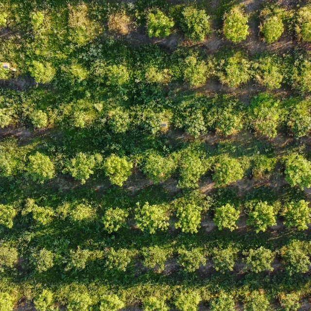 Vézénobres Drone 20