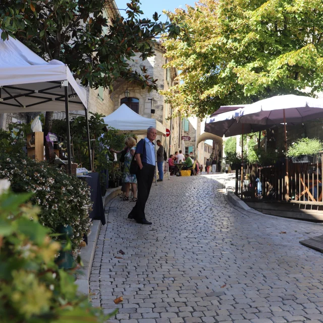 Village Vézénobres ©stessy Salelles Cévennes Tourisme