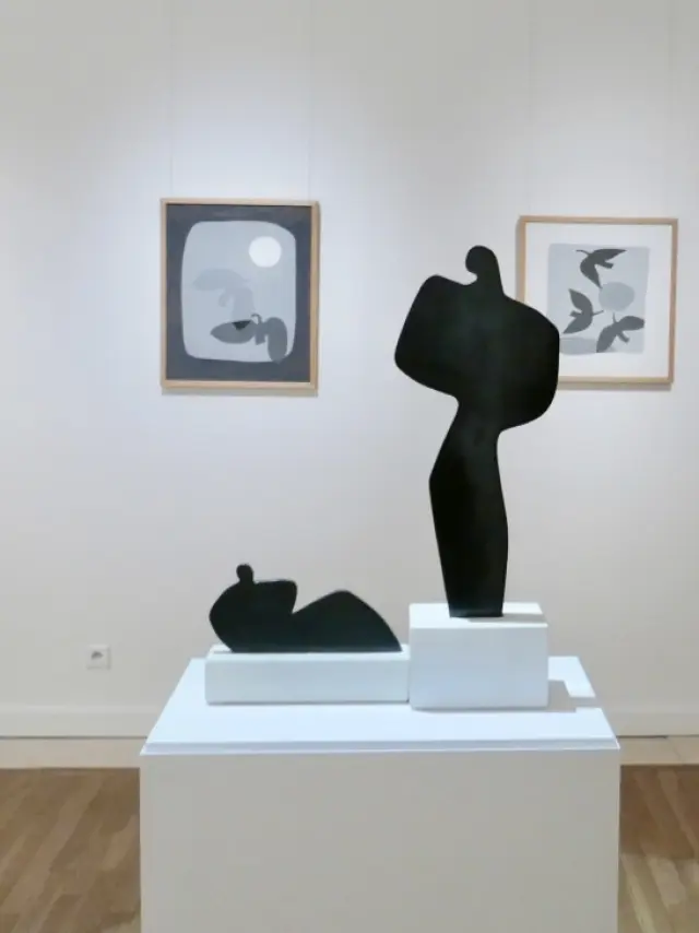 Pab Museum