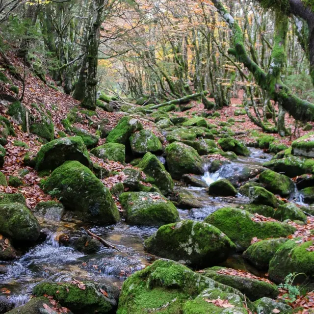 Instagram #cevennes