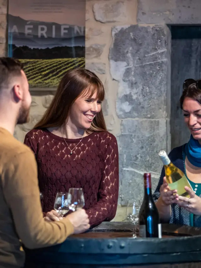 Dégustation Vin d'un groupe d'amis