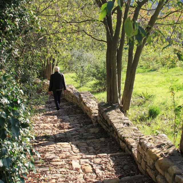 Stone staircase Vézénobres