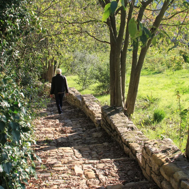 Stone staircase Vézénobres