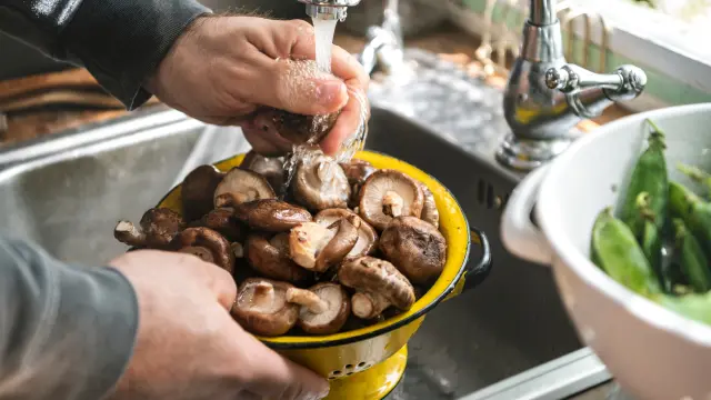 Mushroom cleaning