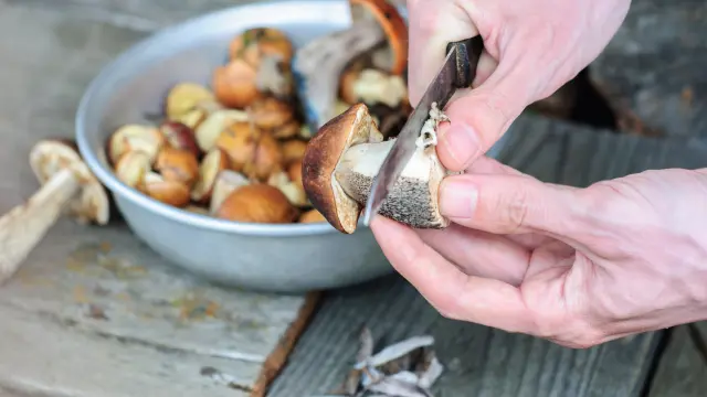 Mushroom cleaning