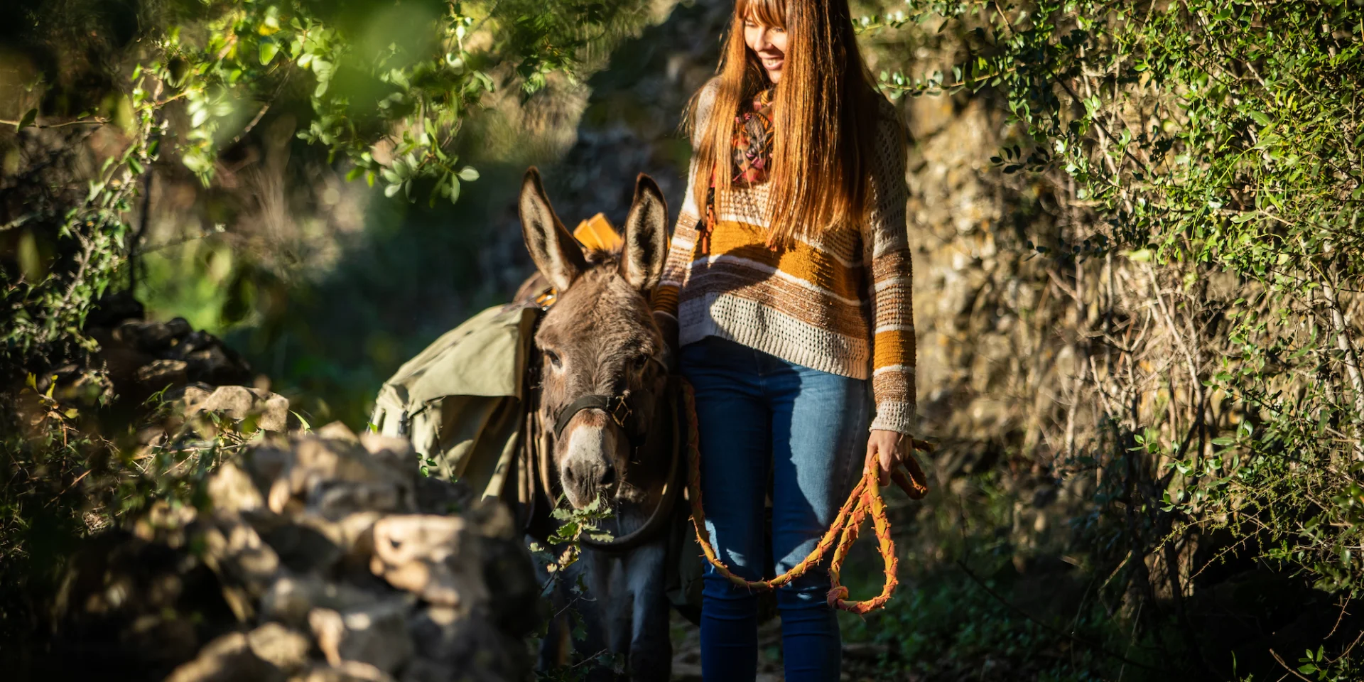 Stroll With A Donkey