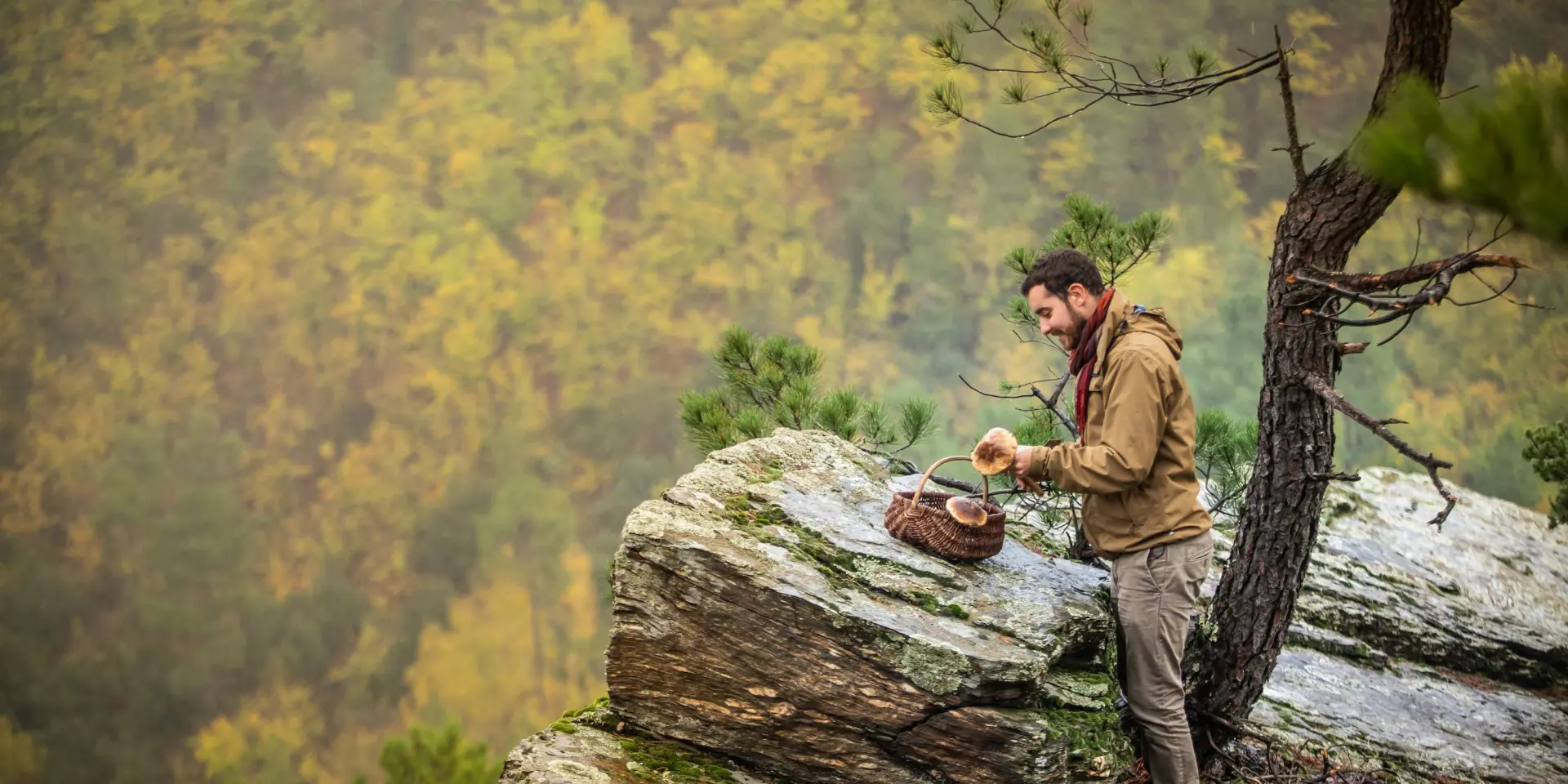 Mushroom picking in the Cevennes