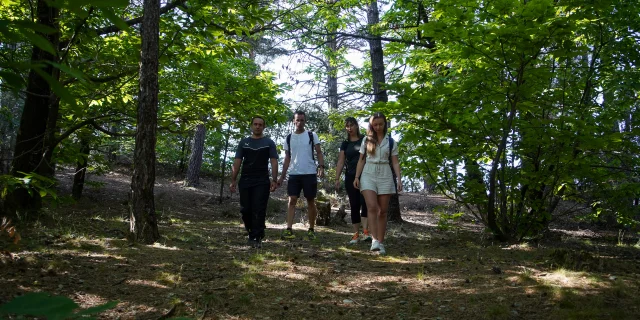 Gr67 Tour Du Pays Cévenol Randonnée En Cévennes