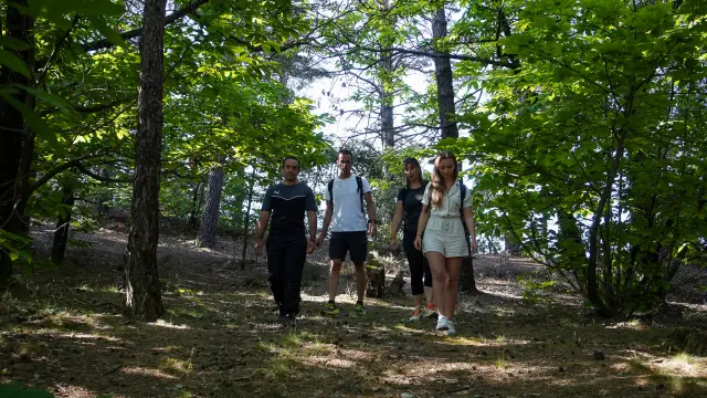 Gr67 Tour Du Pays Cévenol Randonnée En Cévennes