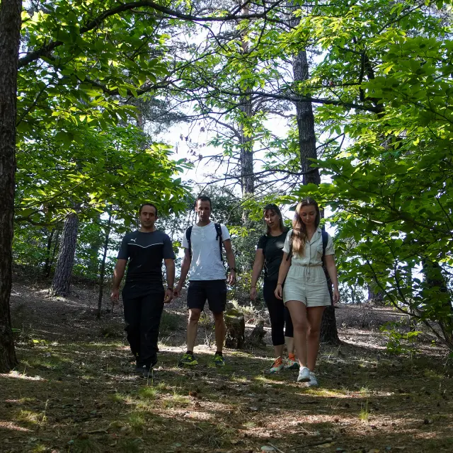Gr67 Tour Of The Cevennes Country Hiking In Cevennes