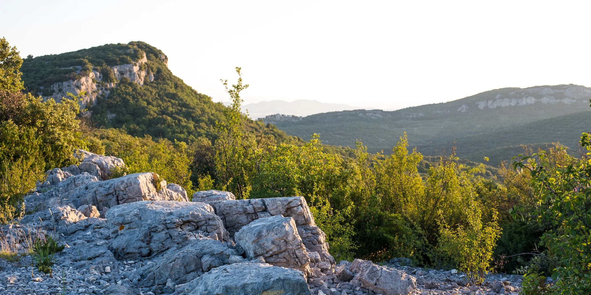 Garrigue gardoise