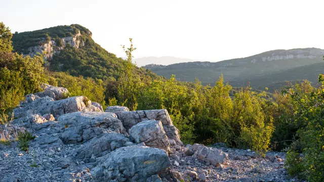 Garrigue gardoise