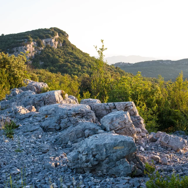 Garrigue of Gard