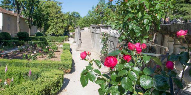 Le Parc Du Bosquet